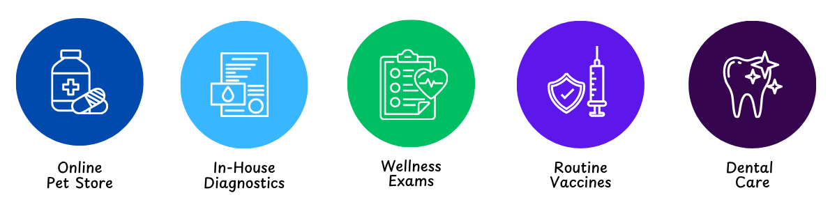 best veterinarian Fort Collins