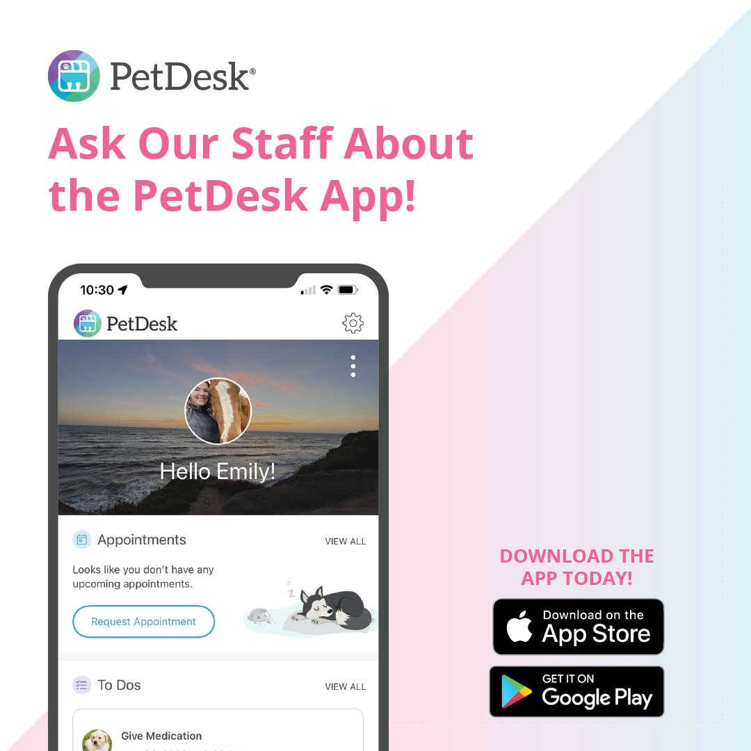 Puppy's Caring Pet Veterinary - Apps on Google Play