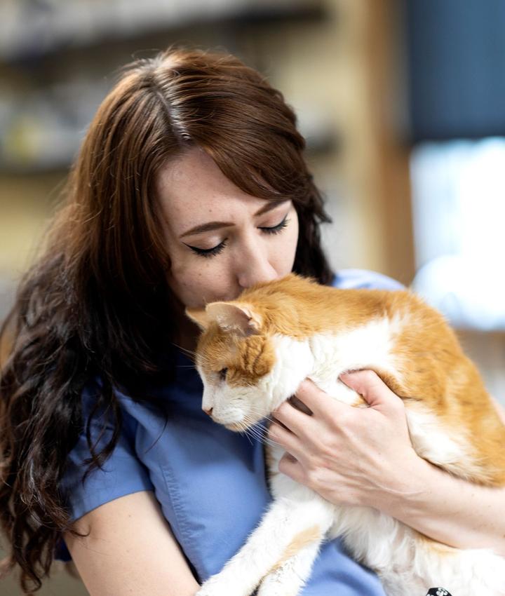 veterinary appointments
