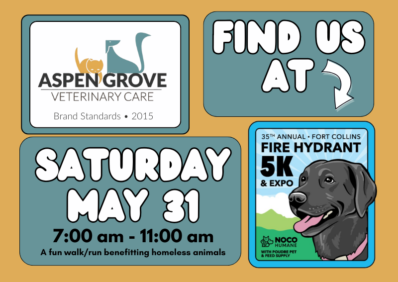 Carousel Slide 2: Community Pet Event
