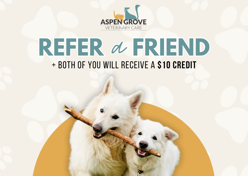 Carousel Slide 3: Refer a fellow pet parent to our clinic, and both of you will get a $10 credit!