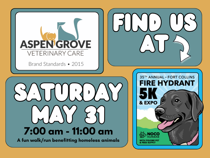 35th Annual Fire Hydrant 5K & Expo